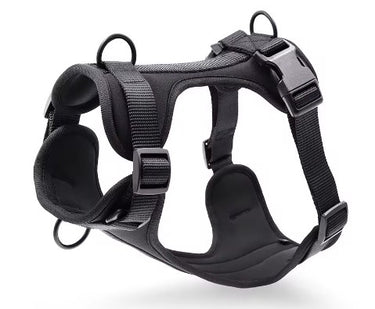 Adjustable Cushioned Everyday Dog Harness