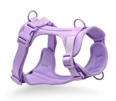 Adjustable Cushioned Everyday Dog Harness