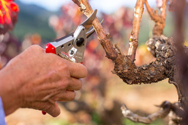 High Performance Swiss Made One-Hand Garden Pruner