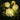 Cracked Glass Pathway Solar Globe